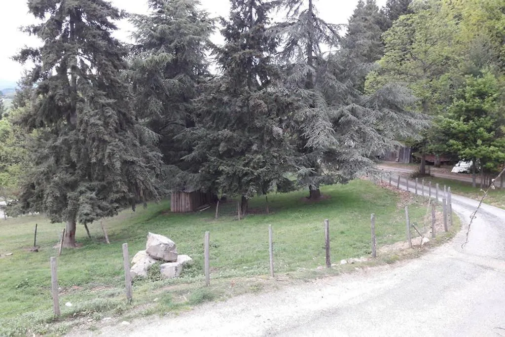 Hébergement de vacances Gîte Le Pilat Vernoux-en-Vivarais